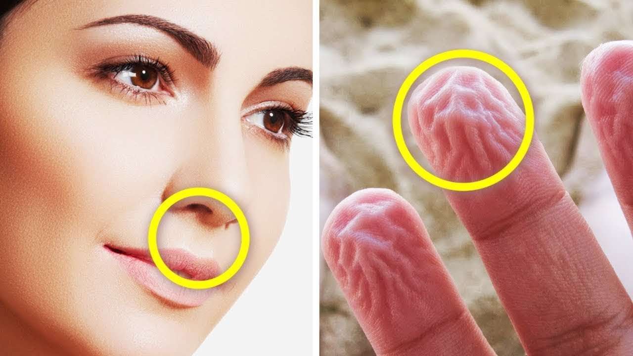 Hayatta Kalmanıza Yardımcı Olabilecek Pratik Bilgiler