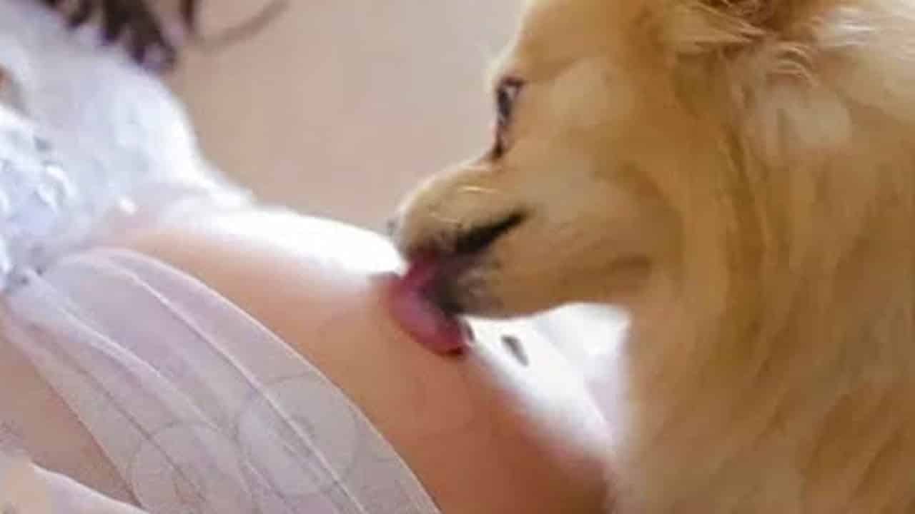 Her gün Hamile Kadının Karnını Yalayan Köpek Bakın Hangi Gerçeği Ortaya Çıkardı