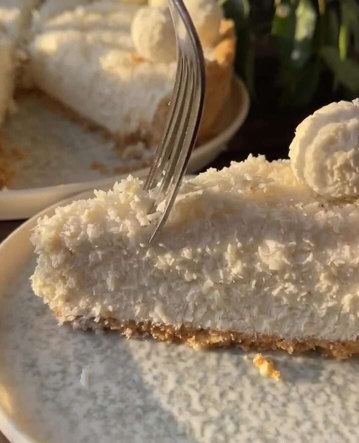 Hindistan Cevizli Pasta Tarifi