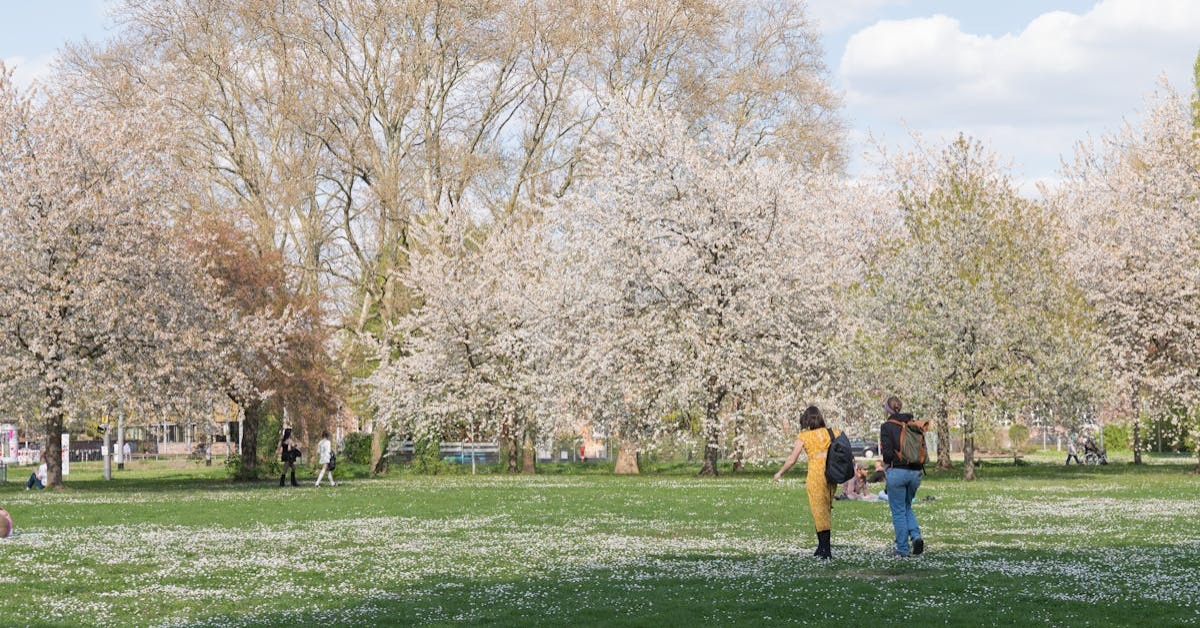 Çiçek açan ağaçlar arasında yürüyüş