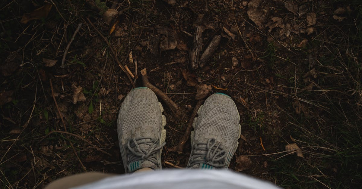 Yürüyüş ayakkabıları ve doğa yolu