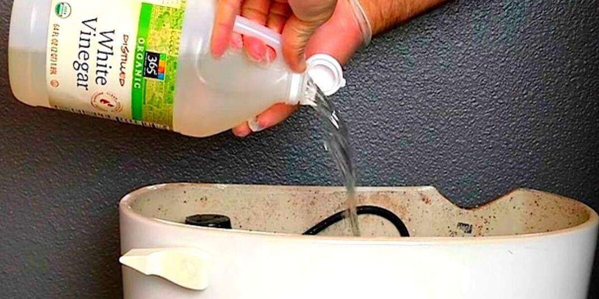 Klozete Sirke Döktü! Sifonu Çekince Bakın Neler Oldu?