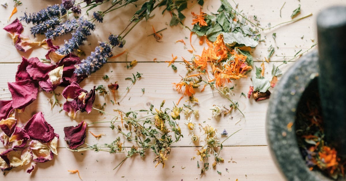 Kansere İyi Gelen Bitkiler Neler, Kanser Hastaları Nasıl Beslenmeli?