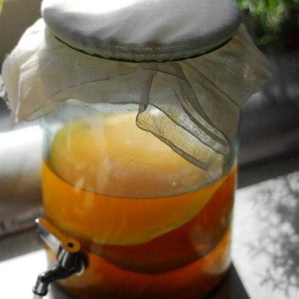 Kombu Çayı Nedir, Faydaları Nelerdir?