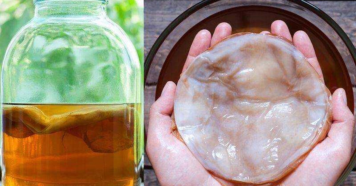 Kombu Çayı Nedir, Faydaları Nelerdir?