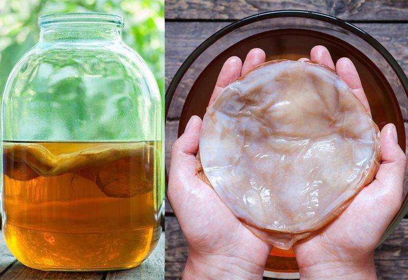 Kombu Çayı Nedir, Faydaları Nelerdir?