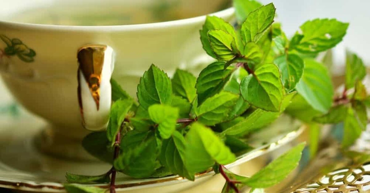 Nane Çayı Nasıl Tüketilmelidir?