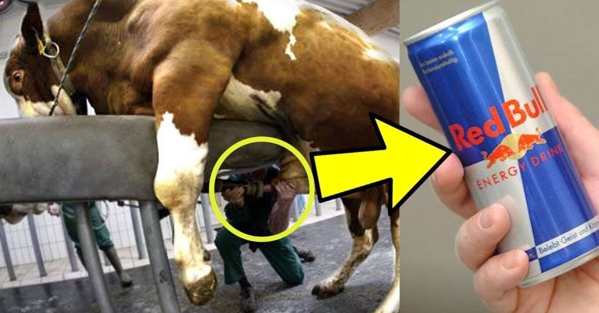 Nasıl Yapıldığını Duyunca Şaşıracağınız 10 Ürünü Sizin İçin Derledik!