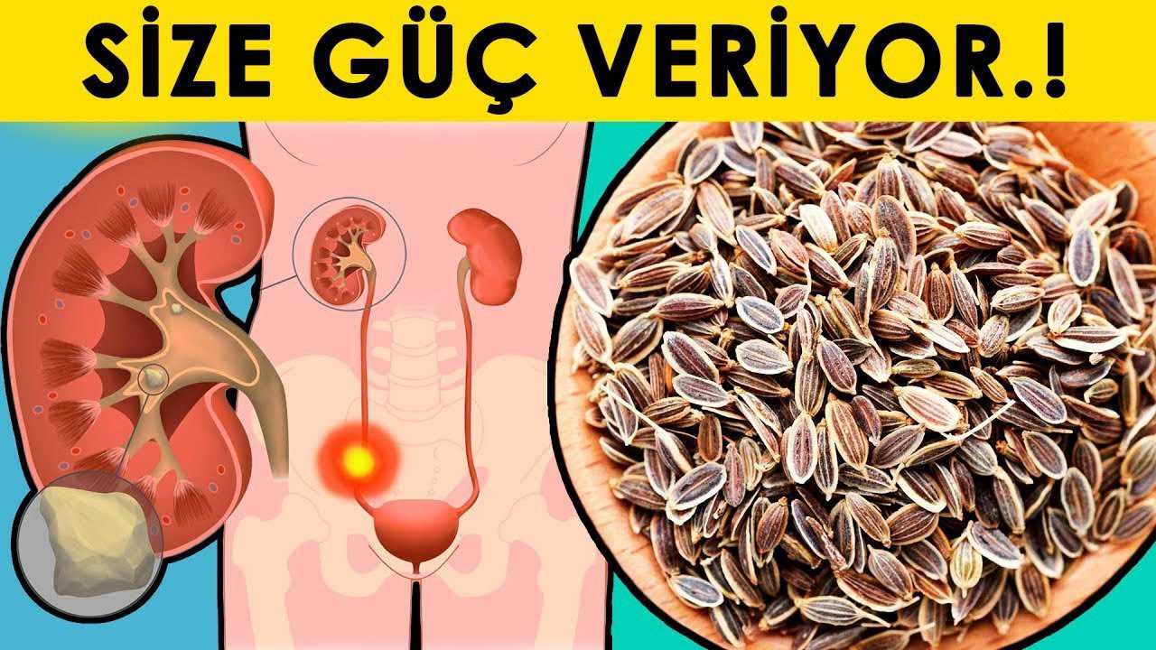 Sadece Bir Kaşık Dereotu Bile Vücudu Yeni Gibi Yapar!