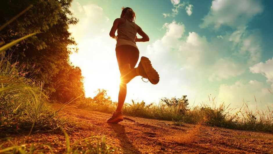 Sağlıklı Bireylerin Spora Olan İlgisi