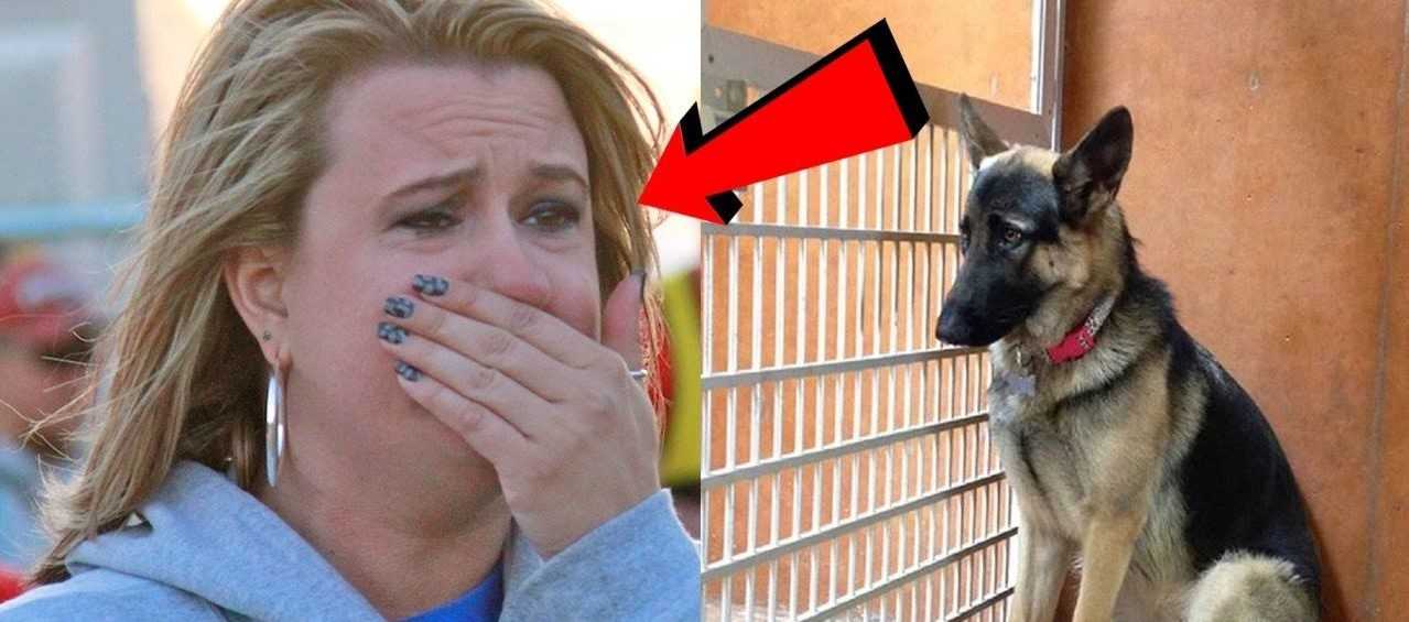Sahipleri Uyurken Köpeğin Her Gece Yaptığını İlginç Davranış! Köpeğin Hikayesi