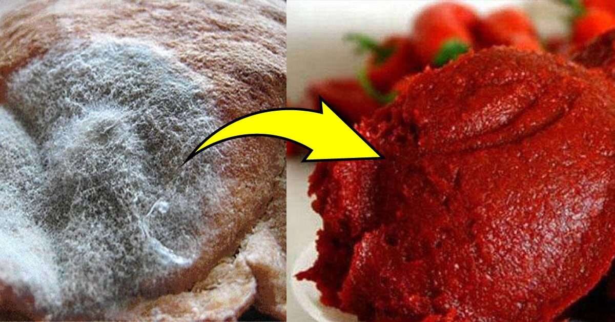 Salça Küflenmesi Nasıl Önlenir?