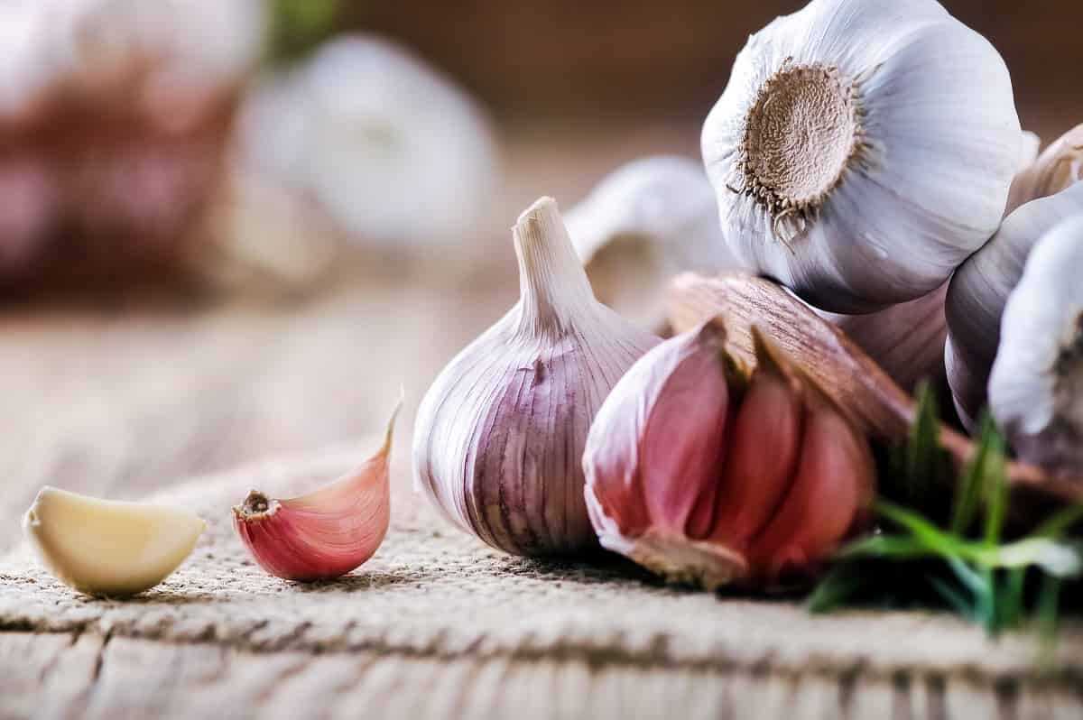 Sarımsağın Sağlığa Faydaları
