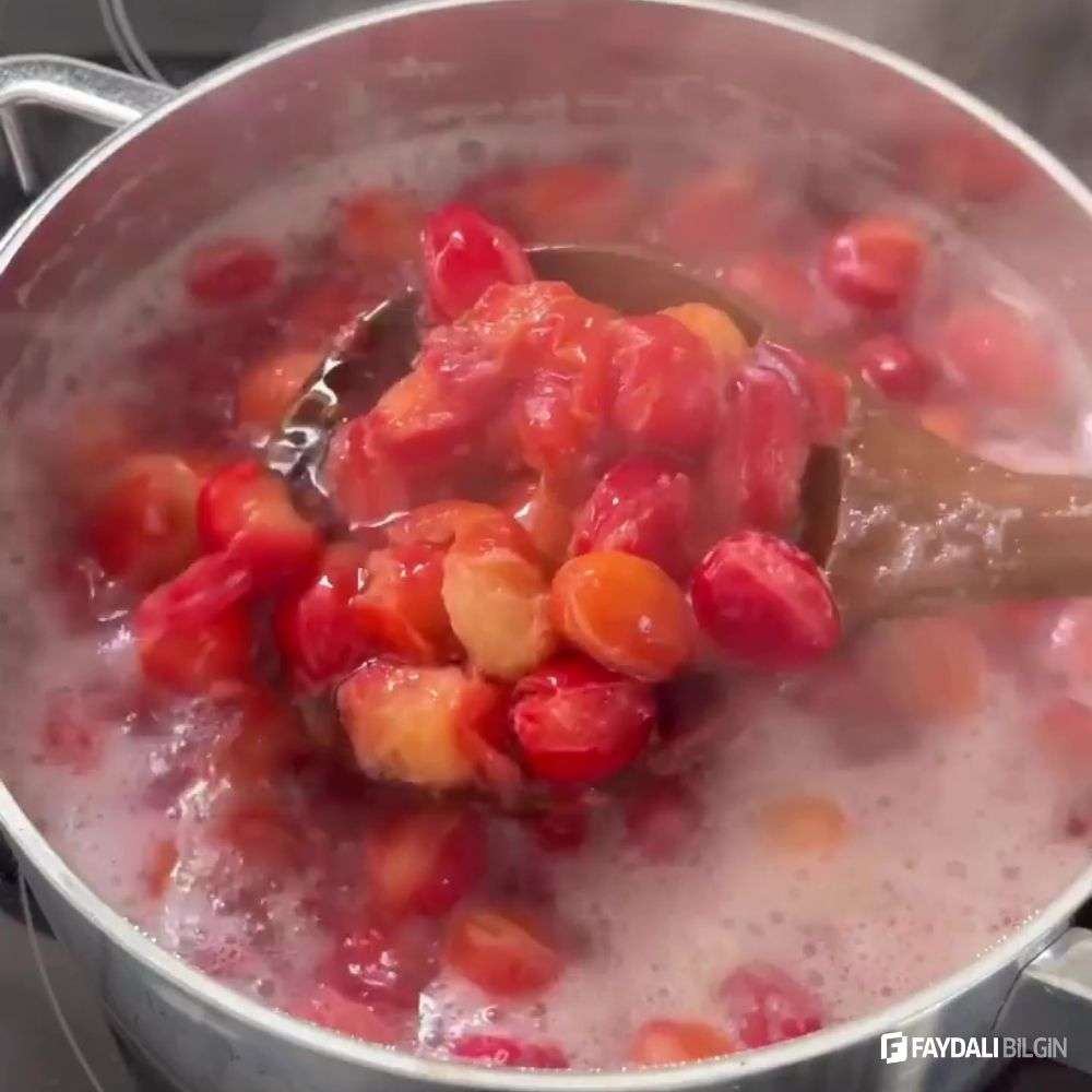 Şekersiz Buz Gibi Kızılcık Şerbeti Tarifi