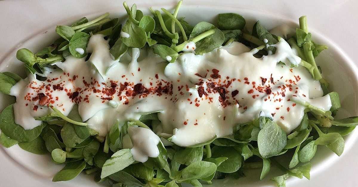 Semizotunun Faydaları ve Yoğurtlu semizotu kürü