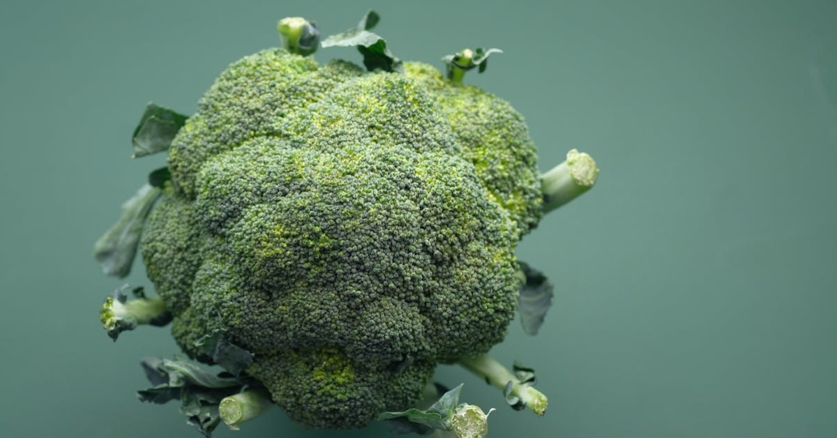 Akciğerleri Temizleyen Süper Gıdalar