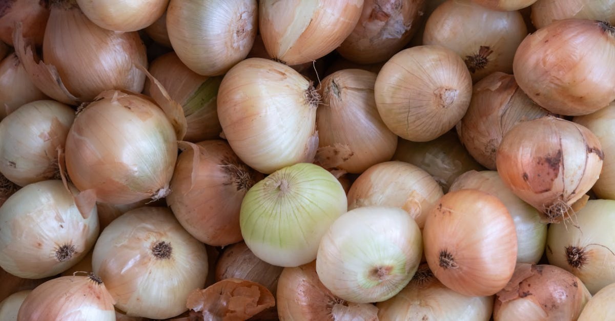 Sarımsak tansiyon düşürücü