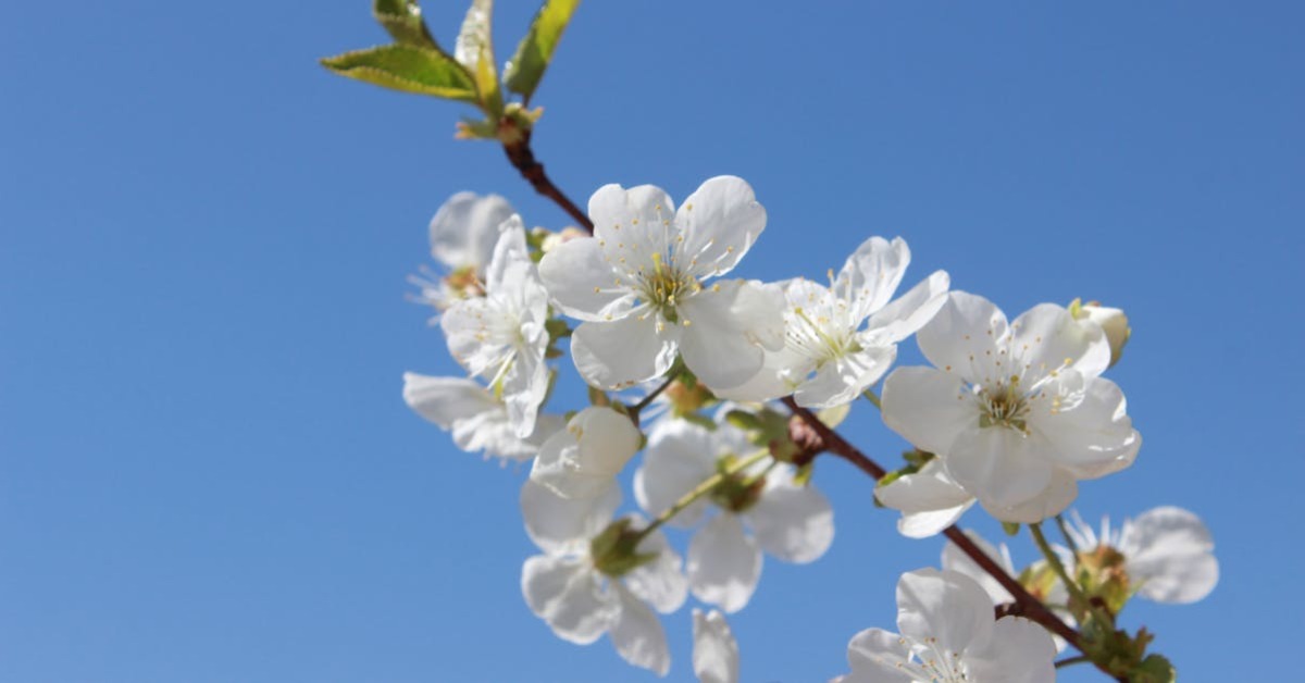 Mevsim ge&ccedil;işi ve doğa