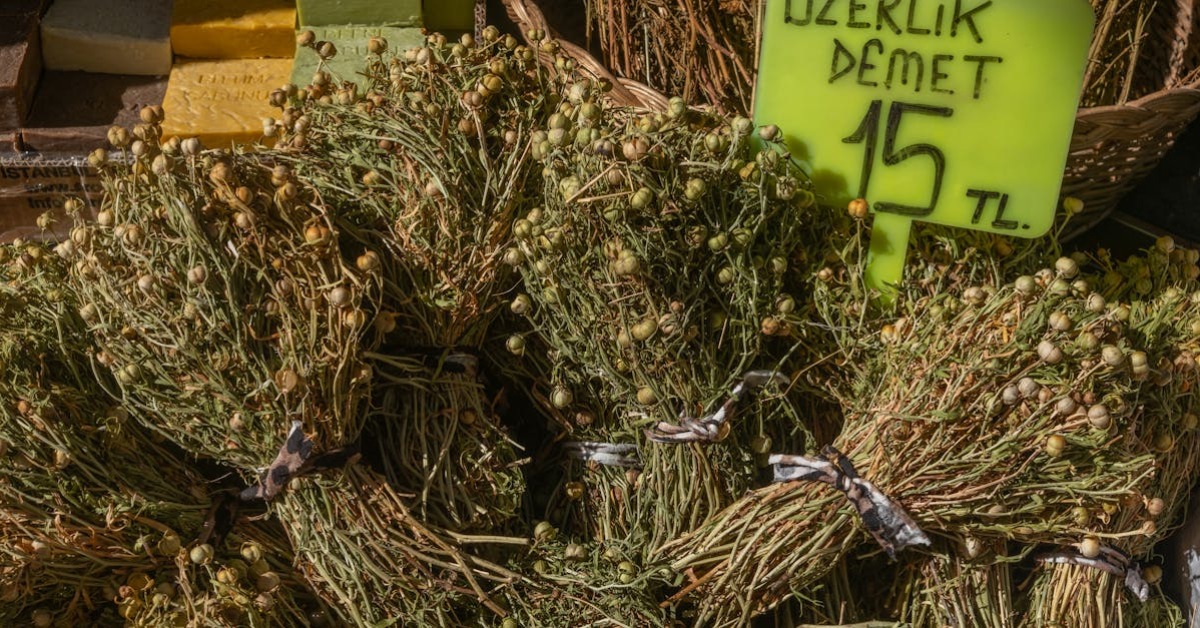 Bitkisel Tedavi ve Doğal Kürler: Şifalı Bitkiler Rehberi