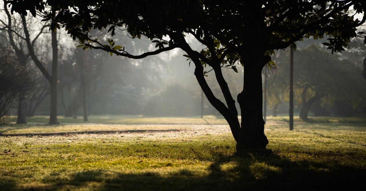 Psikoloji ve Yaşam: Kişisel Gelişim, Uyku ve Pratik Bilgi Rehberi