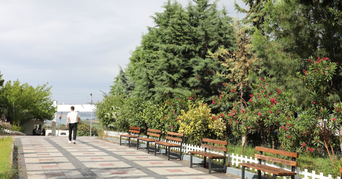 Açık havada egzersiz