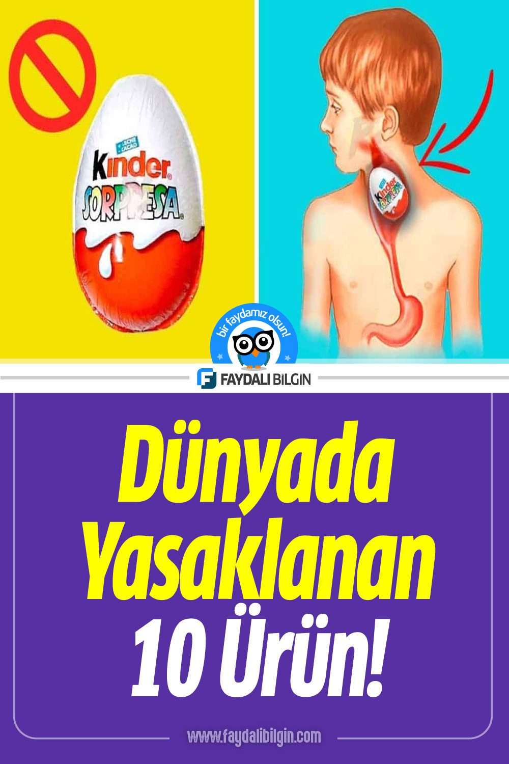dünyada yasaklanan 10 ürün!