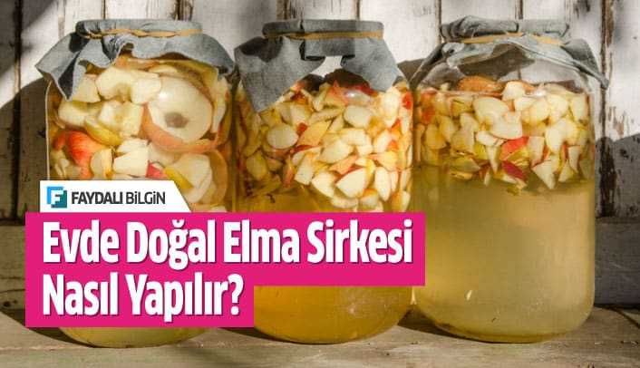 Evde Doğal Elma Sirkesi Nasıl Yapılır? Faydalı Bilgin