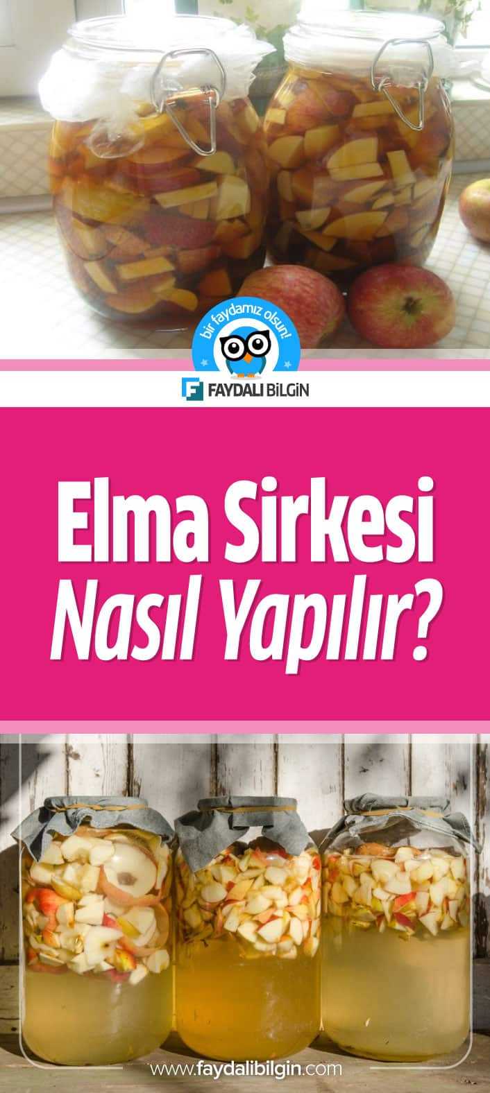 Evde Doğal Elma Sirkesi Nasıl Yapılır, Elma sirkesinin faydaları ve gerekli malzemeler. Evde Doğal Elma Sirkesi yapımına dair tüm aşamalar haberimizde. #sirke #elmasirkesi #doğalsirke #evyapımı #doğal #elma #üzüm #faydaları #nasılyapılır