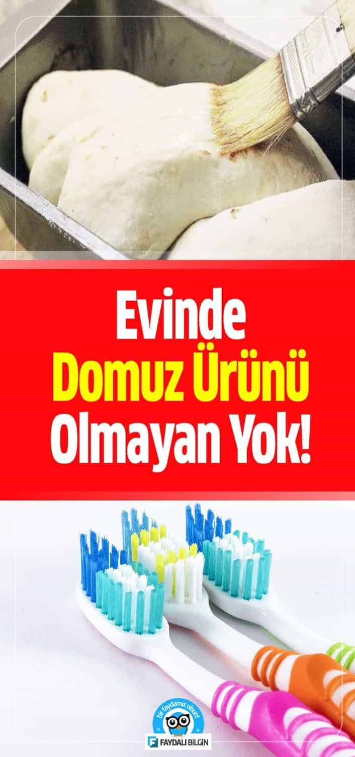 Genelde gıda ürünlerinde görmekte alışkın olduğumuz domuz ürünleri, meğerse kalp ameliyatlarından tutunda, evimizin duvarlarında bile mevcut.!
