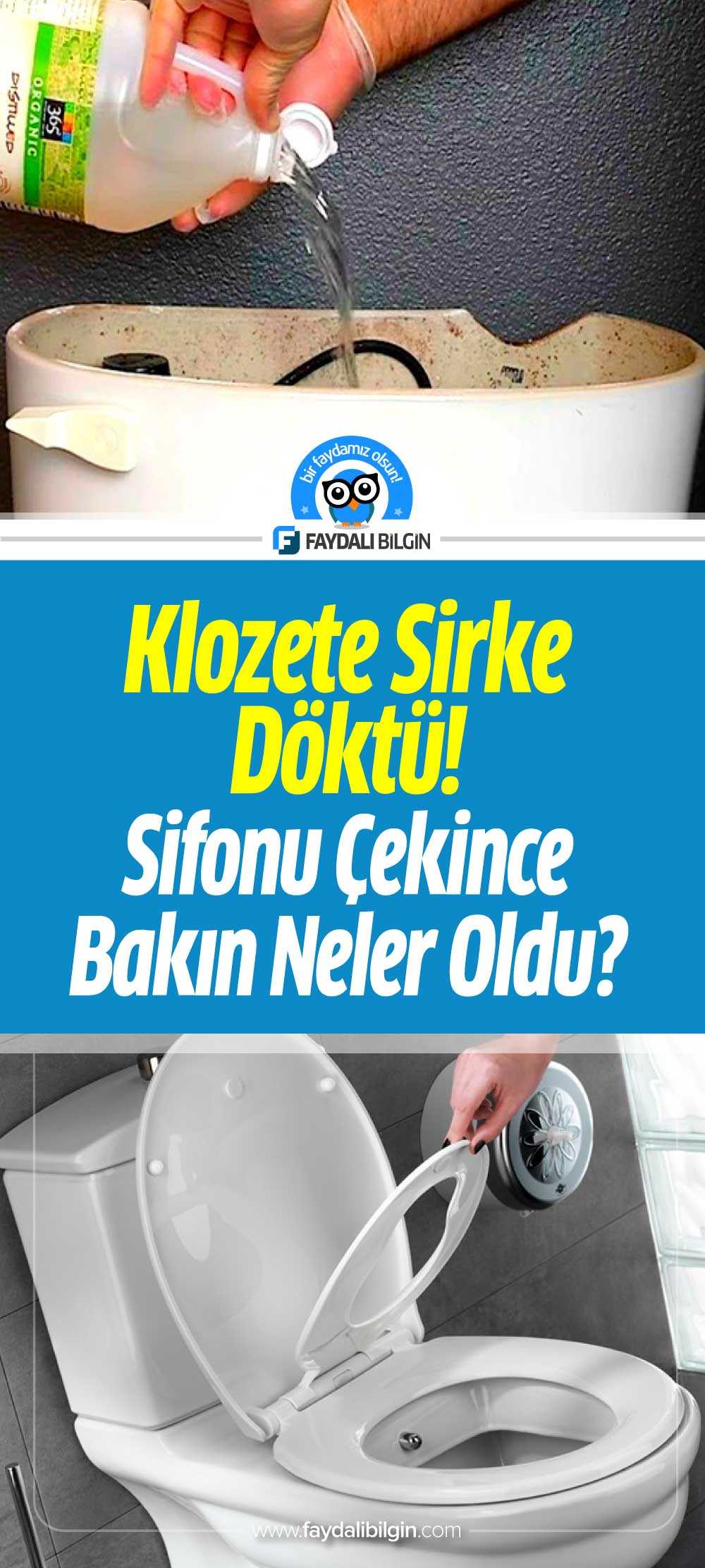 klozete sirke döktü! sifonu çekince bakın neler oldu?