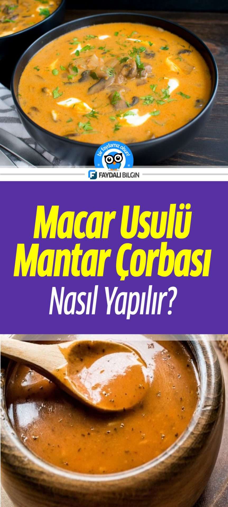 macar usulü mantar çorbası tarifi - nasıl yapılır?