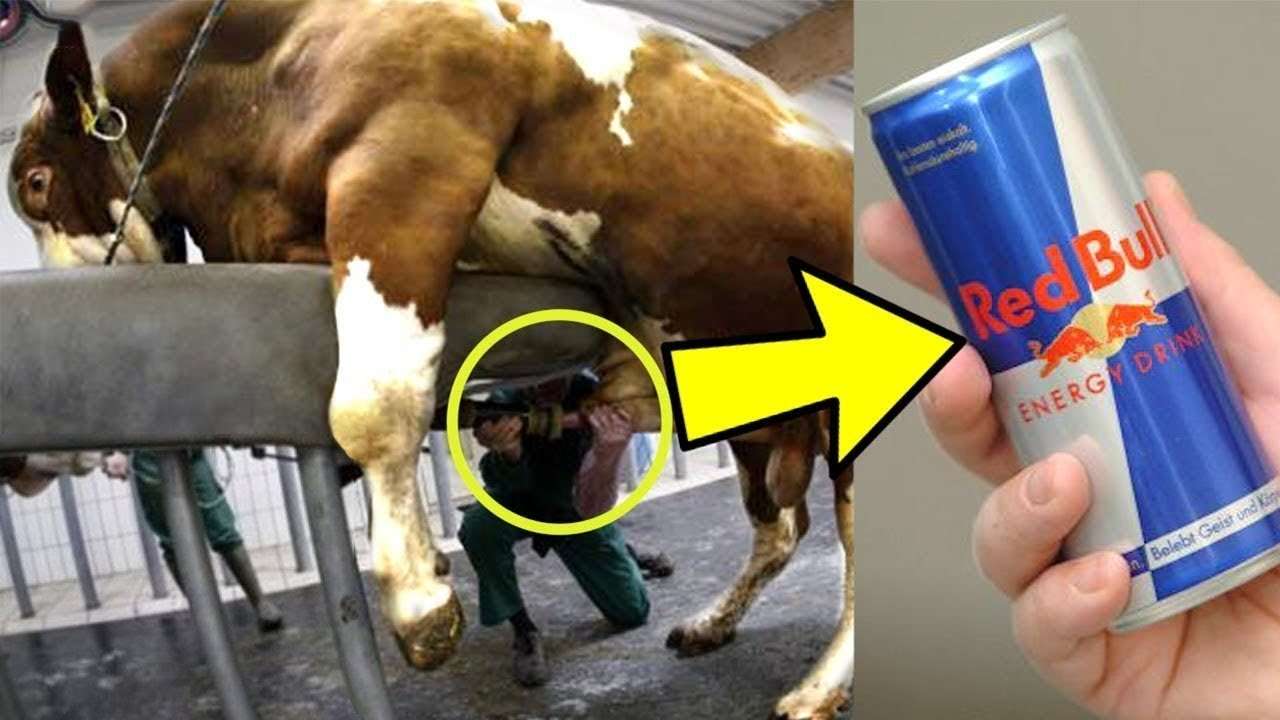 Nasıl Yapıldığını Duyunca Şaşıracağınız 10 Ürünü Sizin İçin Derledik!