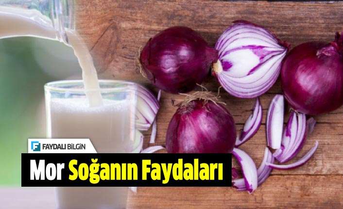 Mor Soğanın Faydaları