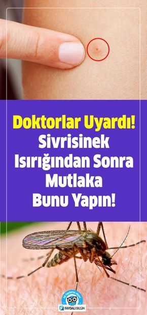 Doktorlar Uyardı! Sivrisinek Isırığından Sonra Mutlaka Bunu Yapın!