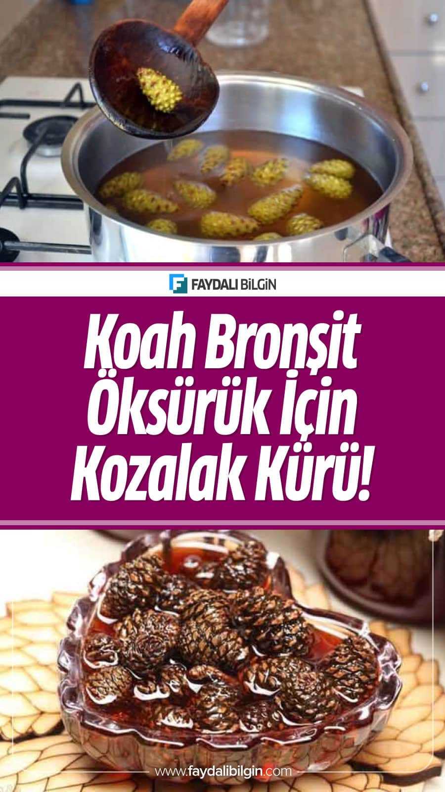 Koah, Bronşit, Öksürük İçin Çözüm Arayanlar, Kozalak Kürü için yapılışını sizin için araştırdık. #koah #bronşit #öksürük #balgamsökücü #kuruöksürük #kozalak #kozalakkürü #sağlık #doğaltedavi