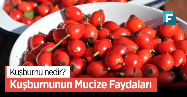 Kuşburnunun Mucize Faydaları