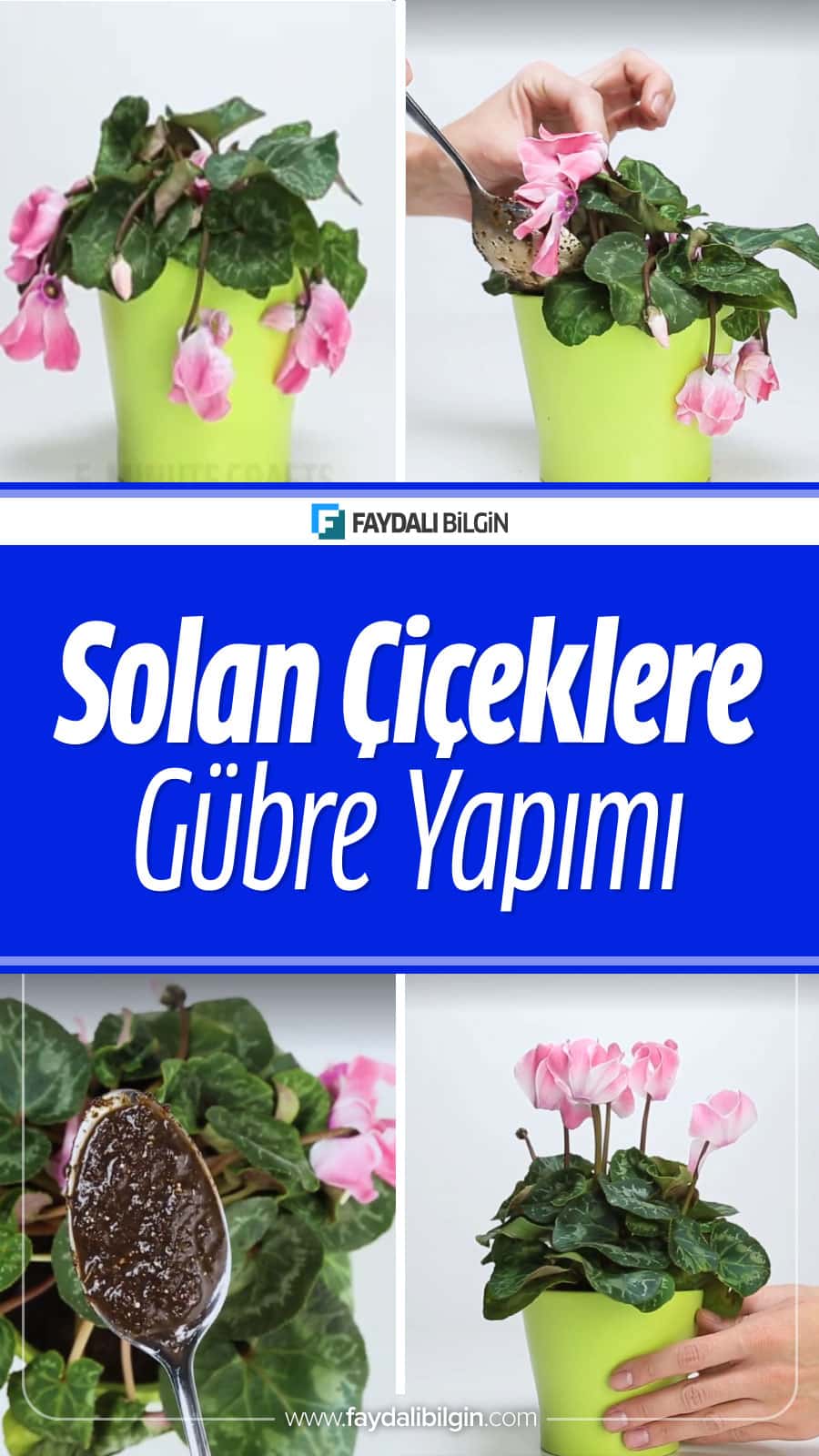 Çiçekler bakımsızlıktan veya vitaminsizlikten dolayı boyunlarını büküp solabilir. İşte solan çiçeklerinizi canlandırmak için evinizde doğal gübre yapımı. #çiçek #çiçekler #çiçekbakımı #gübre #doğalgübre #bahçe #bahçecilik