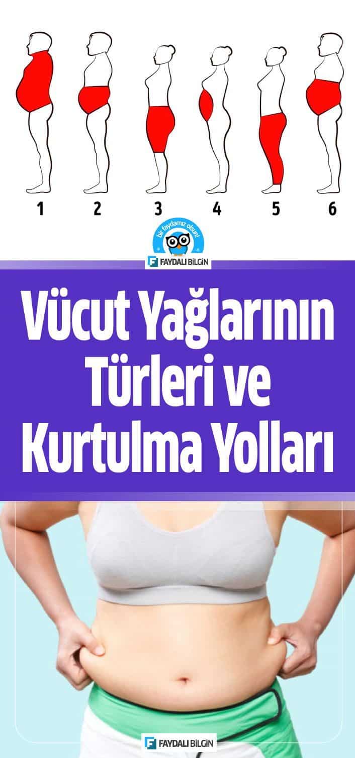 Vücut Yağlarının Türleri ve Kurtulma Yolları