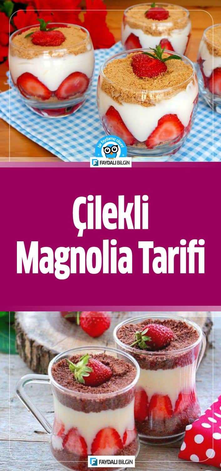 çilekli magnolia tarifi nasıl yapılır?