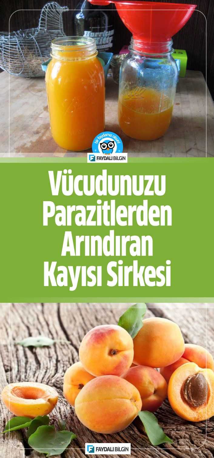 Vücudunuzu parazitlerden arındıran bağışıklık sisteminizi güçlendiren kayısı sirkesi nasıl yapılır? Kayısı sirkesi nasıl tüketilir? #kayısı #kayısısirkesi #sirke #zahideyetiş #sindirim #sindirimsistemi #bağışıklık #vücut