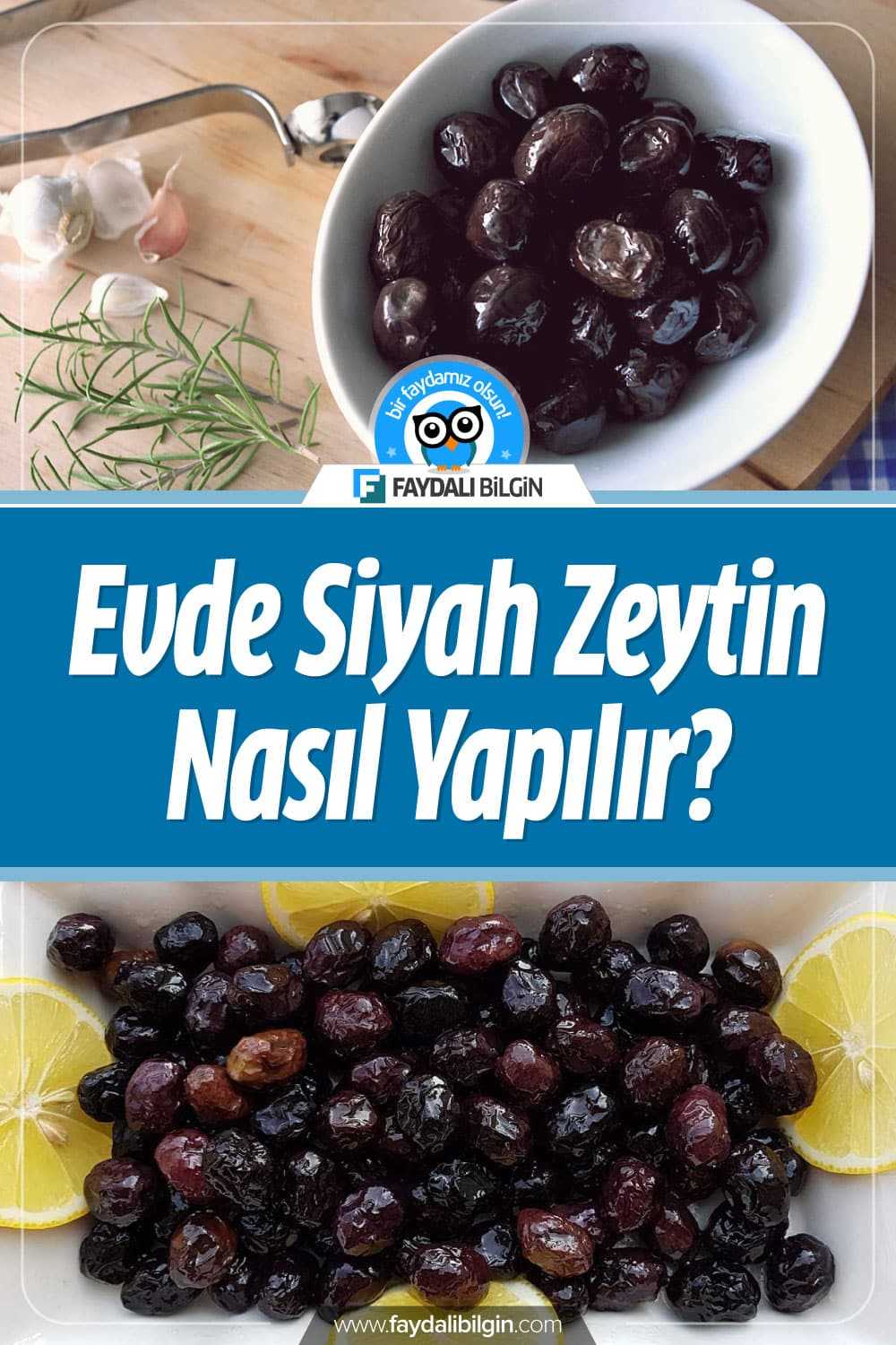 Evde siyah salamura zeytin nasıl yapılır bunu öğreneceğiz. Evinizde kendi imkanlarınızla siyah salamura zeytin yapımı için Annemin Mutfağı kanalına teşekkür ederiz. #zeytin #zeytinler #siyahzeytin #zeytinnasılyapılır