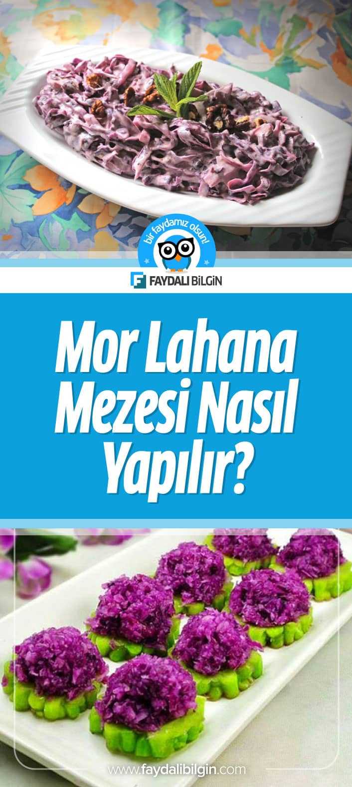 mor lahana mezesi nasıl yapılır?