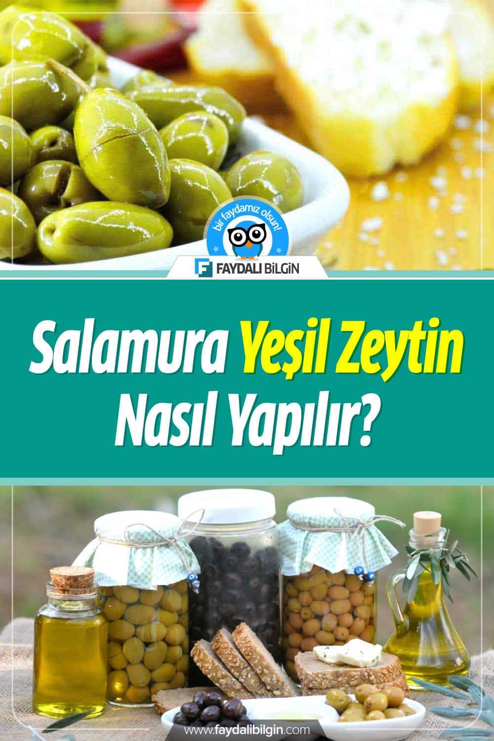 Zeytin Salamura, Zeytin nasıl tuzlanır? Kırma ve Çizme Zeytin nasıl yapılır? Detaylar video haberimizde. #zeytin #salamura #yeşilzeytin #nasılyapılır