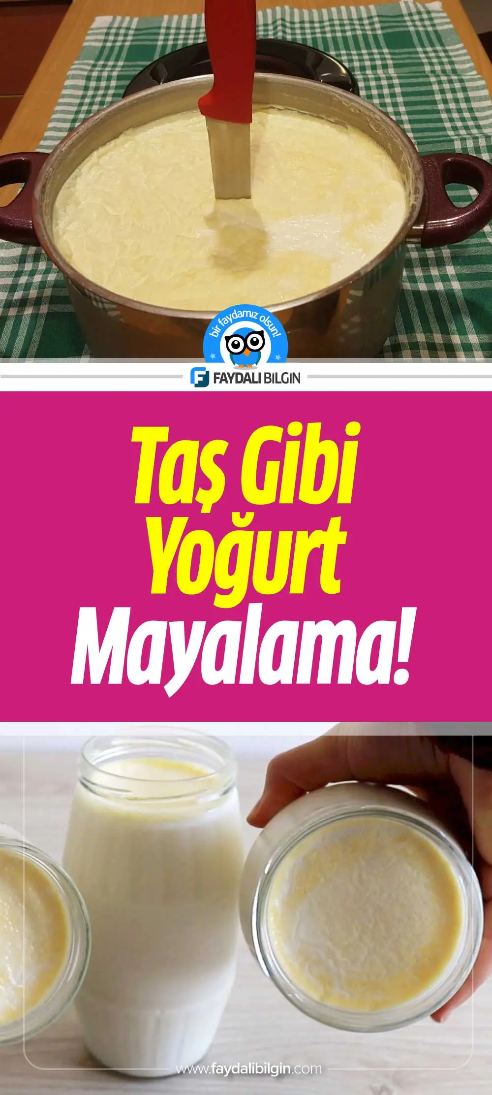taş gibi yoğurt nasıl tam kıvamında mayalanır?