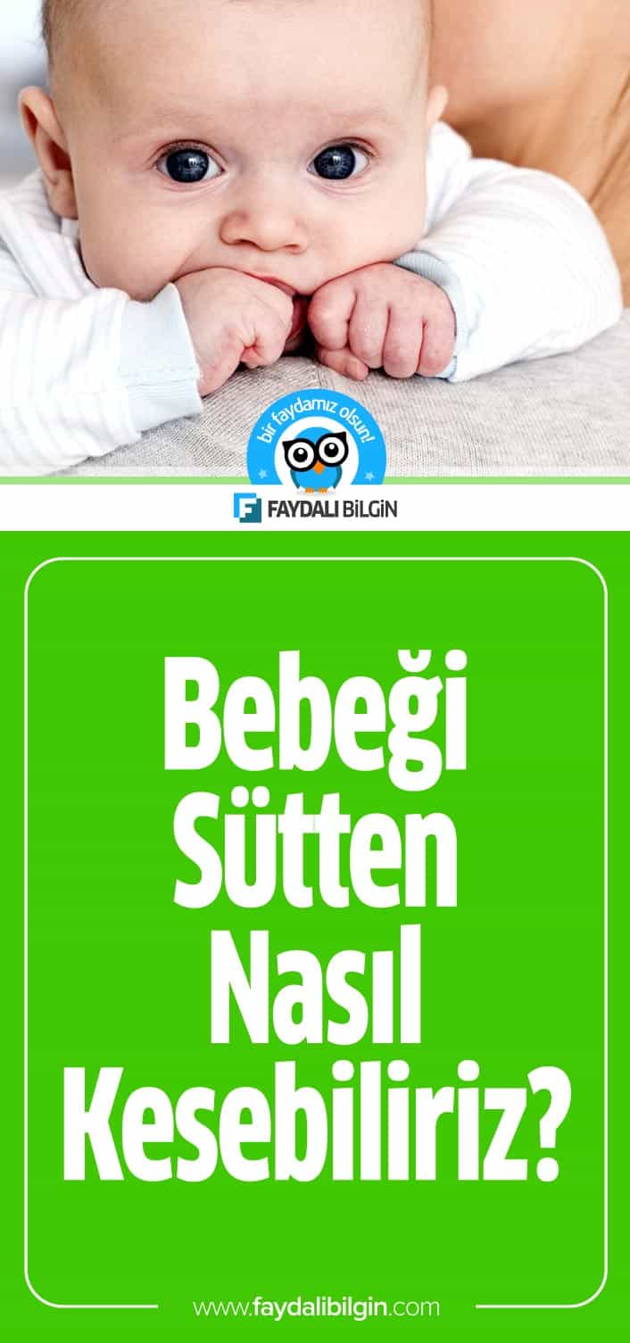 Bebeği Sütten Nasıl Kesebiliriz? Faydalı Bilgin