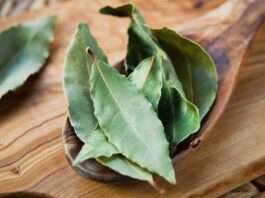 Defne Yaprağı Çayı Nasıl Yapılır?