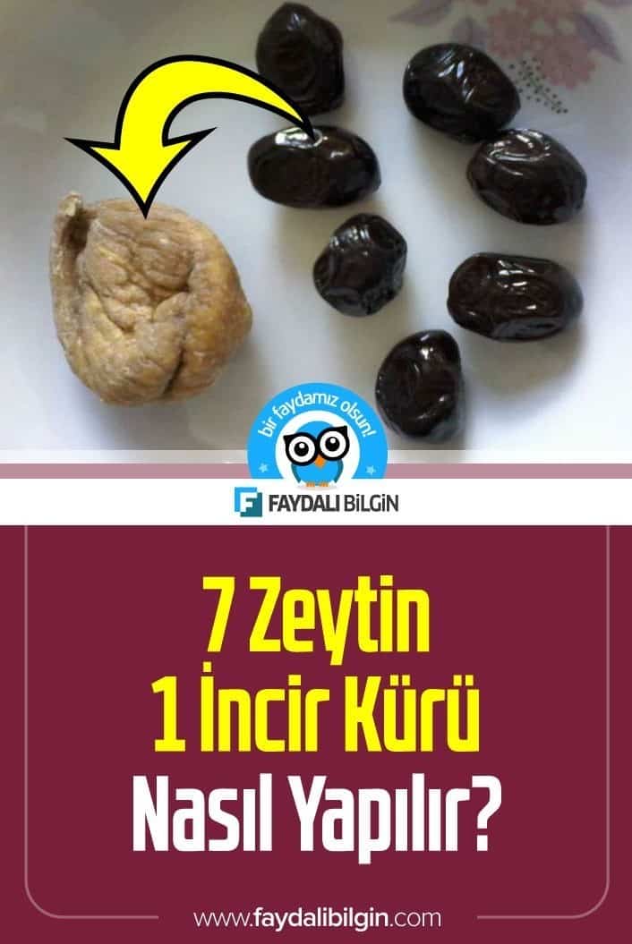 7 Zeytin 1 İncir Kürü Nasıl Yapılır?
