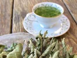 Bu Doğal Çay Sayesinde Diyabetten Kurtul!