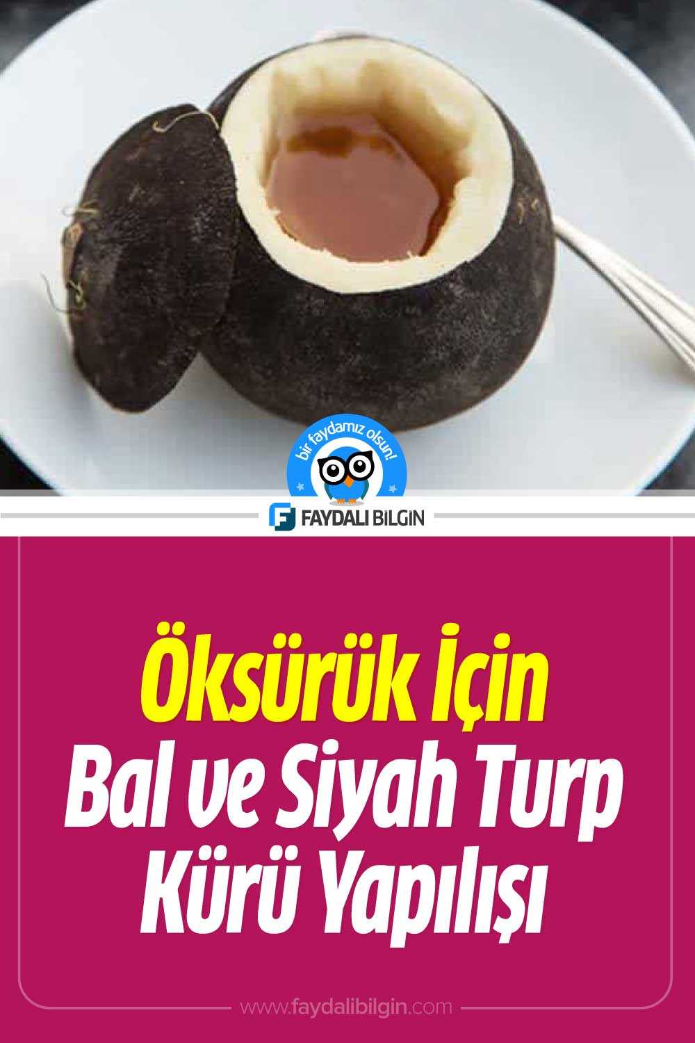 öksürük i̇çin bal ve siyah turp kürü tarifi