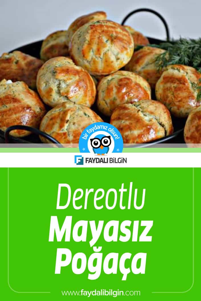 Dereotlu Mayasız Poğaça Tarifi